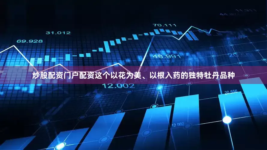 炒股配资门户配资这个以花为美、以根入药的独特牡丹品种